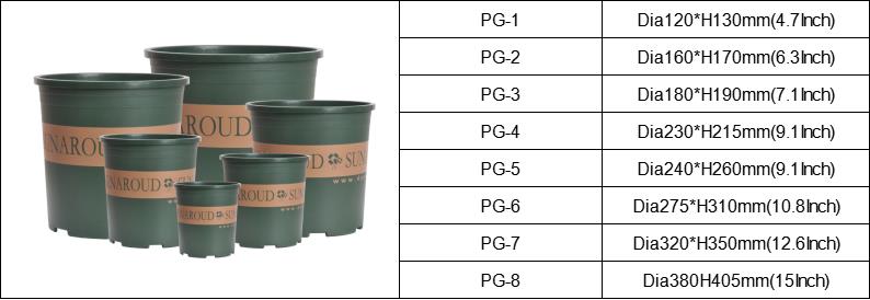 succulent plant flower pot суккулентный цветочный горшок