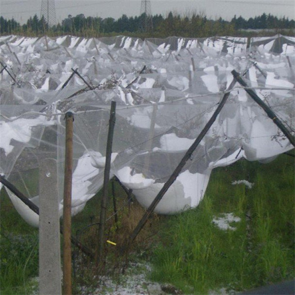 anti hail net сетка против града