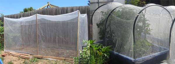 anti insect net сетка от насекомых