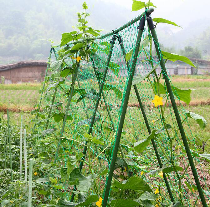 Nylon-Trellis-Netting-Plant-Support-for-Climbing-Plants-Vine-and-Veggie-Trellis-Net-2-95Ft-x