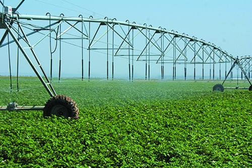 agriculture plastic net сельскохозяйственная пластиковая сетка