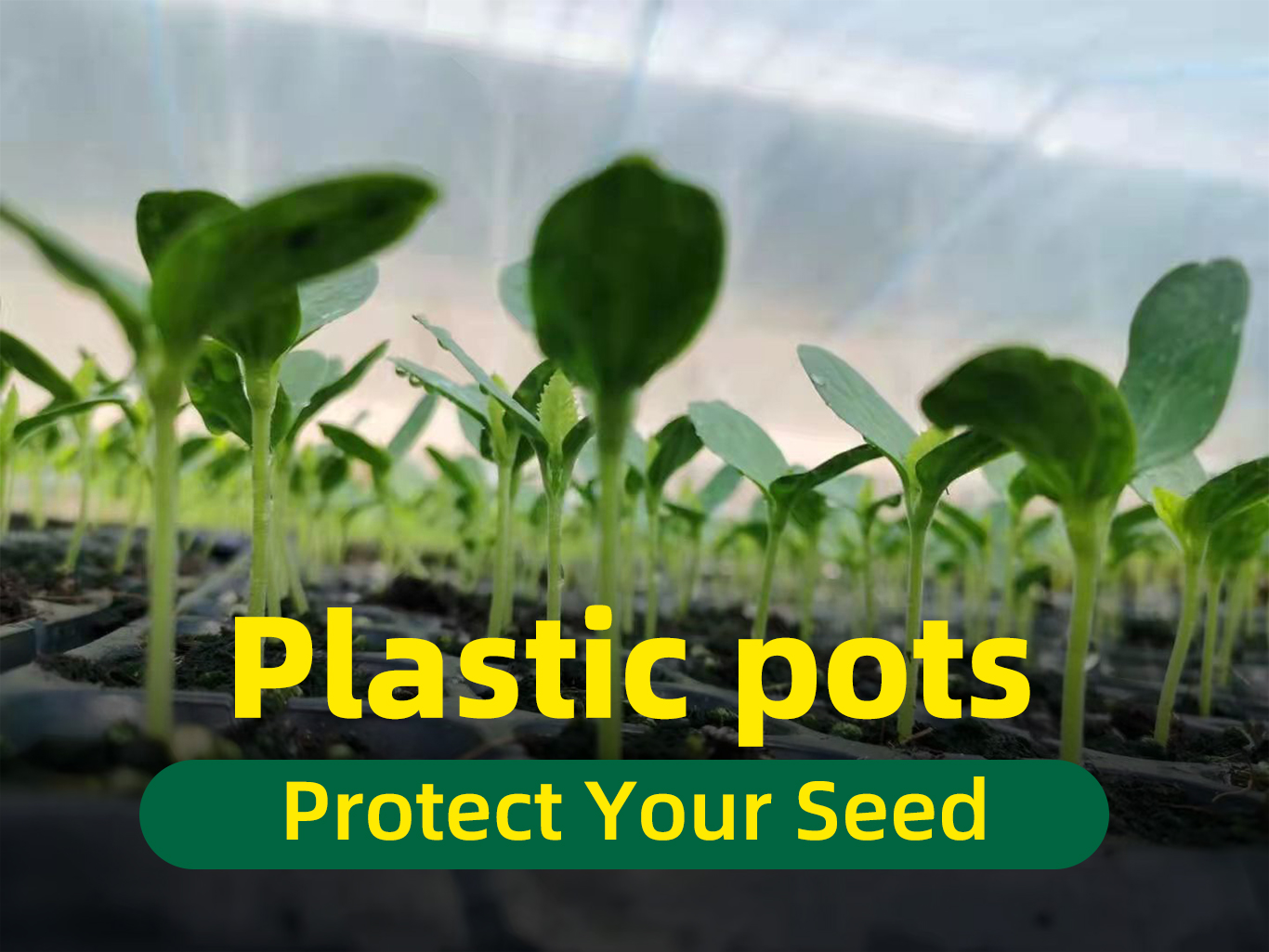 Nursery pot 1 Детский горшок 1