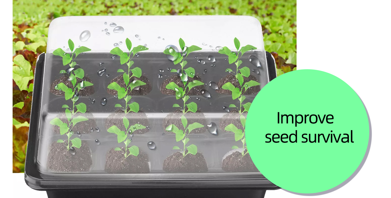 Seedling Starter Trays Стартовые лотки для рассады