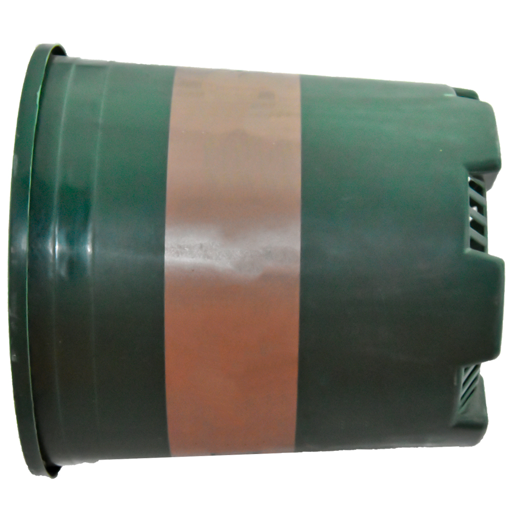 Прочные черные цветные растения для детских садов для пересадки растений