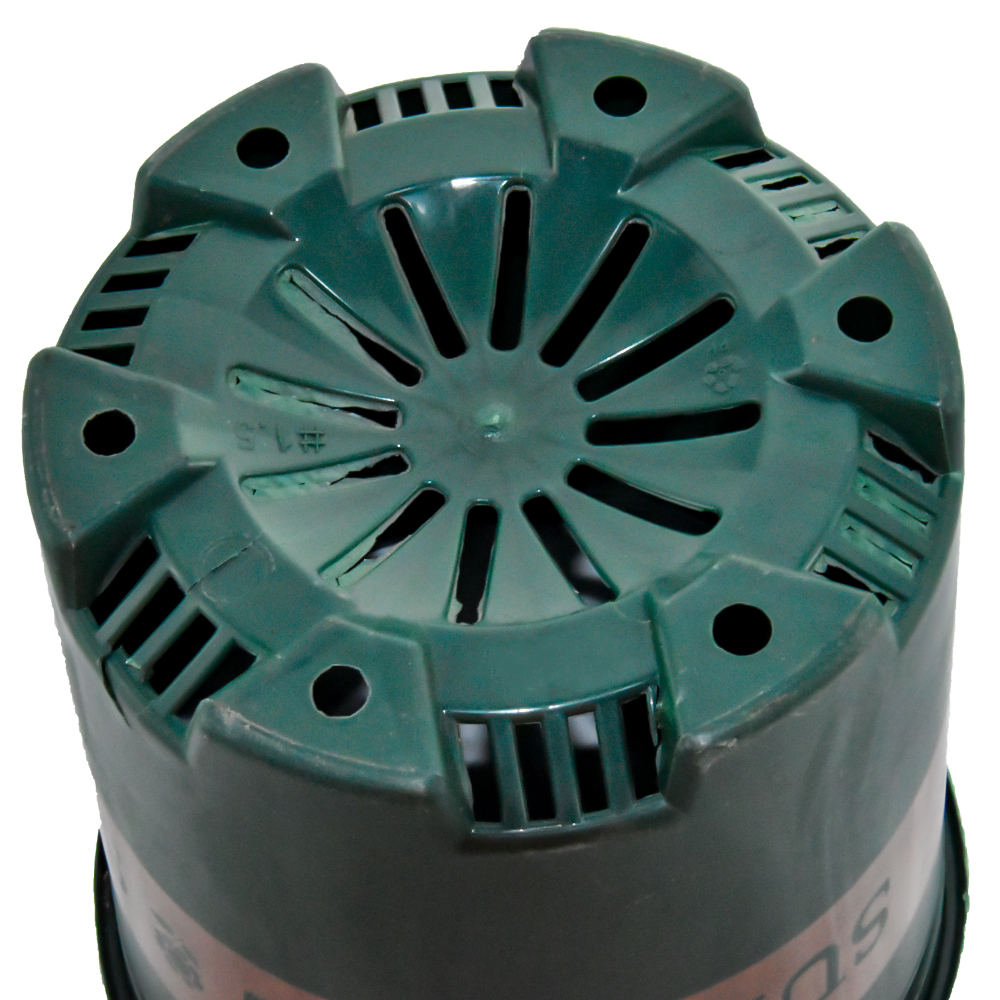 Прочные черные цветные растения для детских садов для пересадки растений