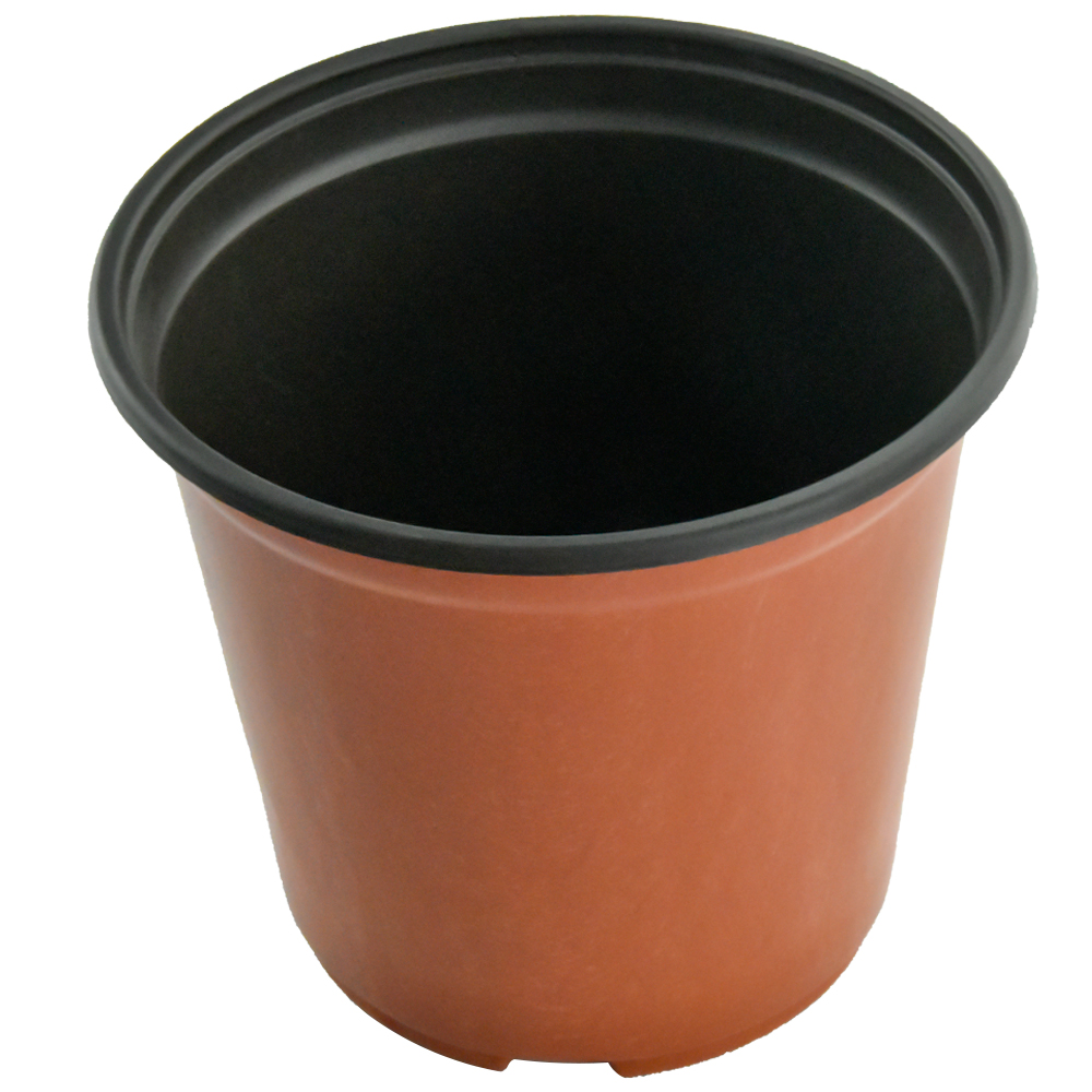 Прочные черные цветные растения для детских садов для пересадки растений