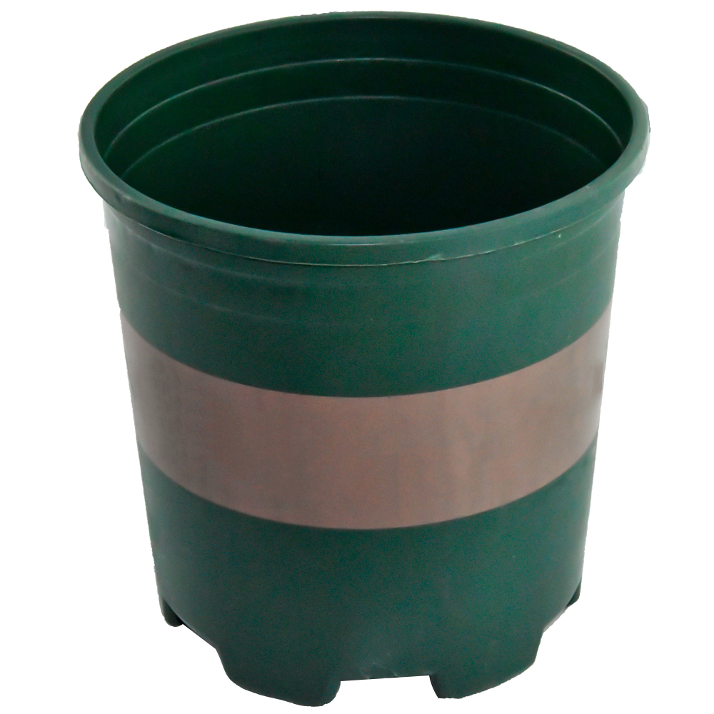 Прочные черные цветные растения для детских садов для пересадки растений