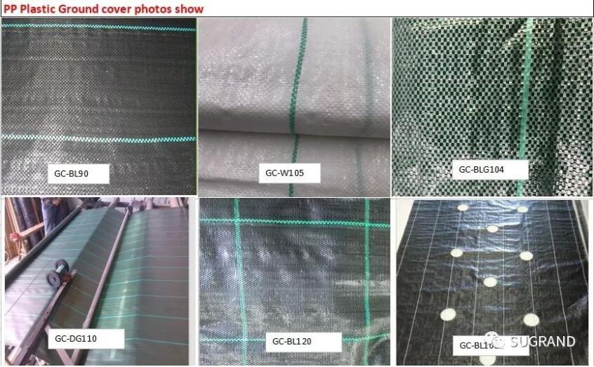 почвопокровное 2