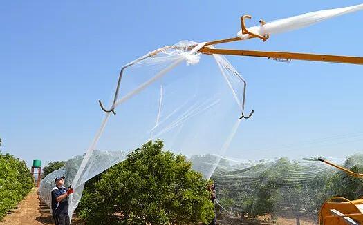 пчелиная сетка6