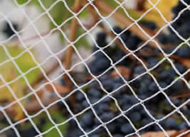 Как выбрать размер сетки в сетке птиц