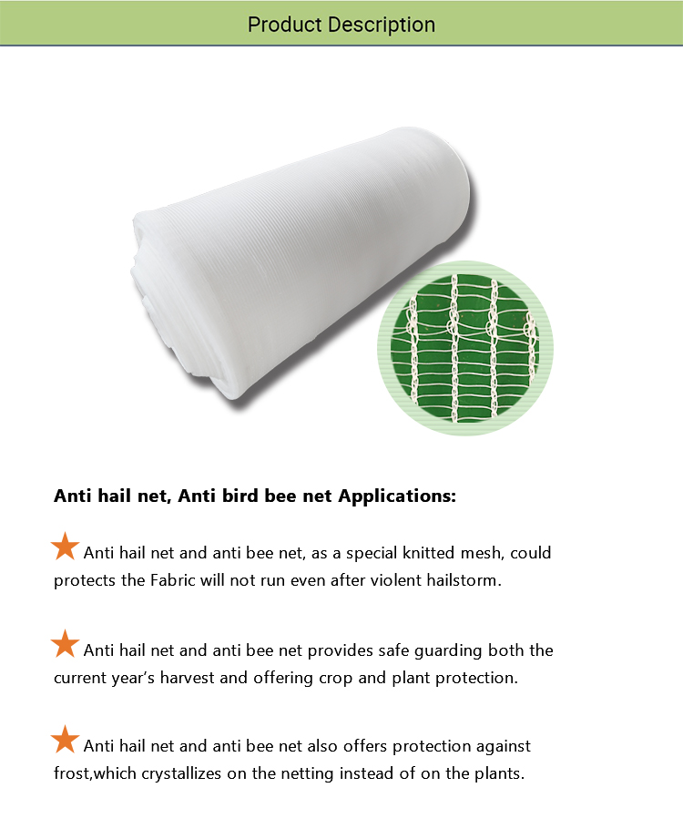 Пчелиная сеть-2