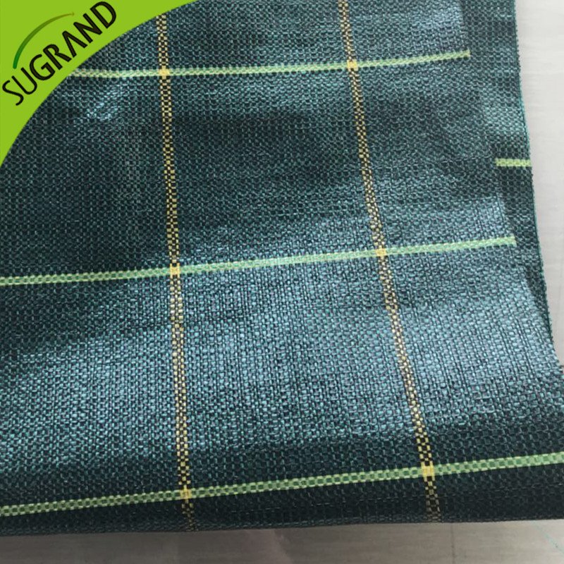 Высококачественный зеленый 130GSM Ground Crow/Mat Share