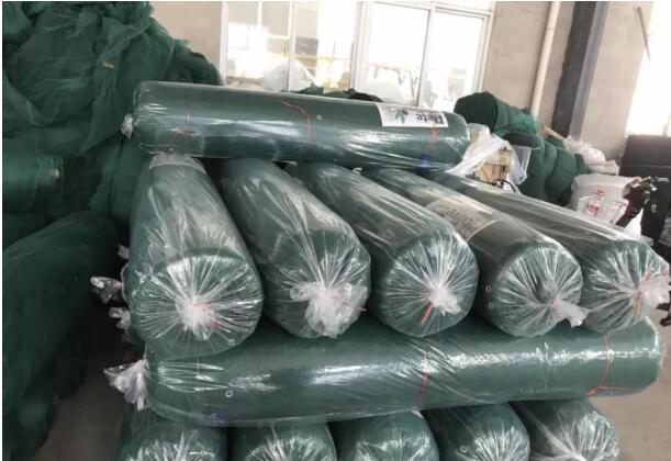 оливковая сетка7