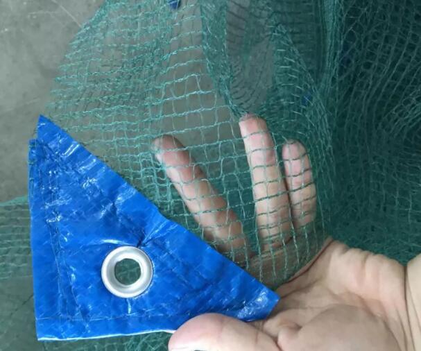 оливковая сетка10