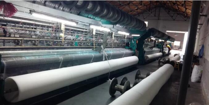 пчелиная сеть3