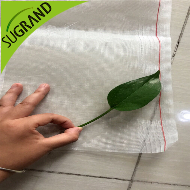 Как выпустить ветер и предотвратить сеть насекомых в теплице?