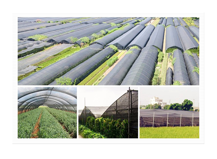 shade net3 Затеняющая сетка3