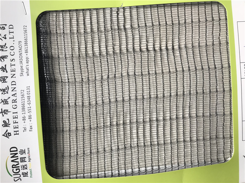 Плетение пчелы черноты ХДПЭ 50ГСМ предохранения от УЛЬТРАФИОЛЕТОВОЙ сети земледелия анти-