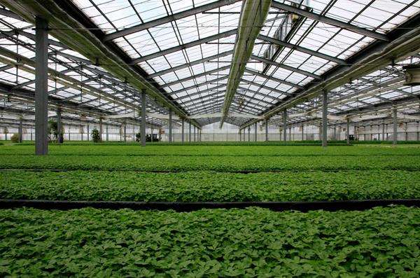 сетка для затенения теплицы