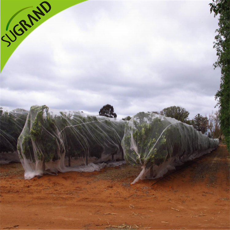 Прозрачная антипчелиная сетка онлайн