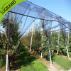New HDPE Black Anti -Bee Net Online