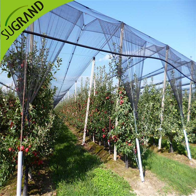New HDPE Black Anti -Bee Net Online