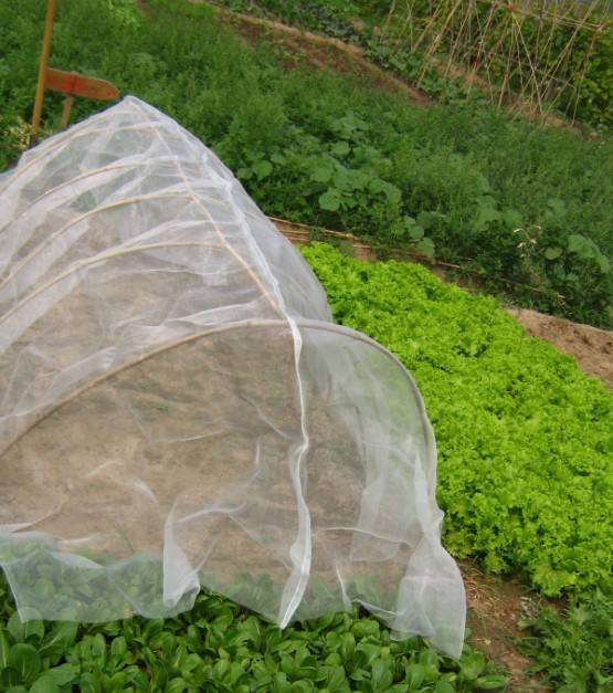 сетка от насекомых