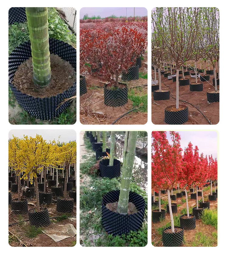 Корневой горшок