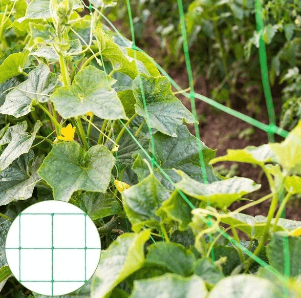 Agro Plastic Trellis Netting