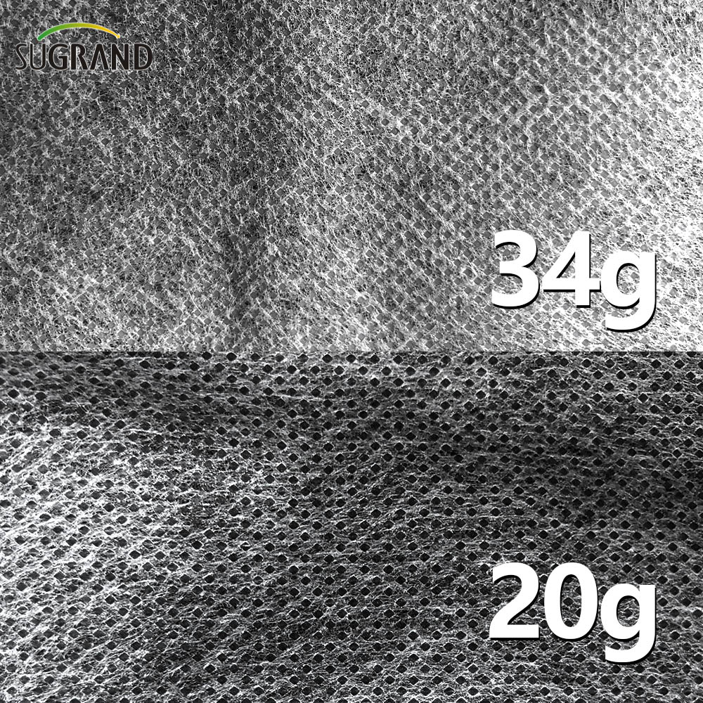 100G 2x50M Сельское хозяйство PP Белая непрессовая ткань 
