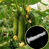 Garden Green White Balck Trellis Plant Plant Supply Suppor