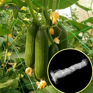 Garden Green White Balck Trellis Plant Plant Supply Suppor