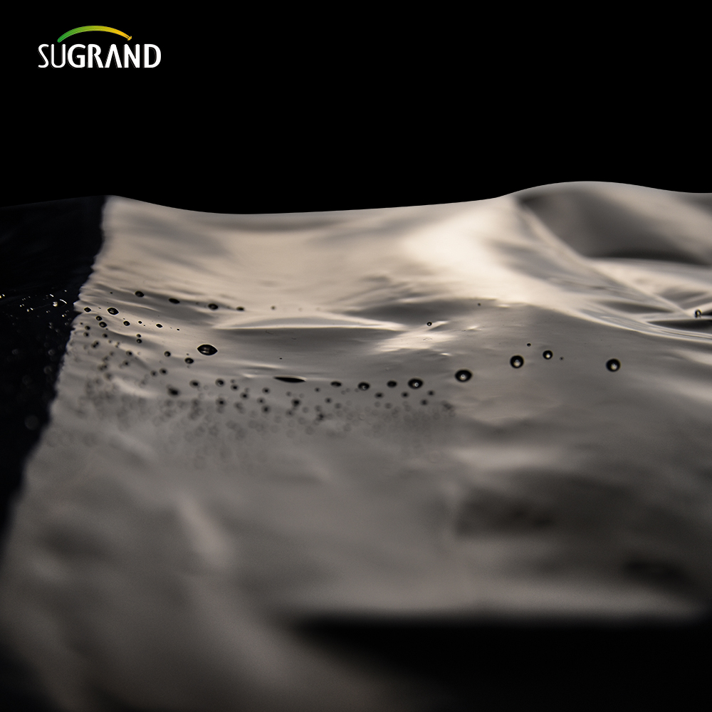 PE Garden Weed Mat Seriessure Пластическая мульча