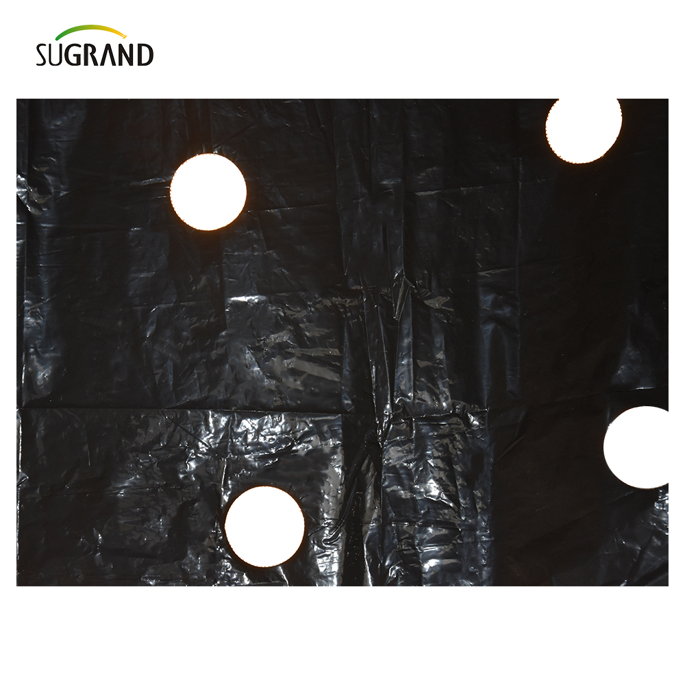 ПЛАСТИКАЯ ПЛАСТИКА ПРИВОДА МУЛЛА ИСПОЛЬЗОВАНИЕ Использование пленки мульча 