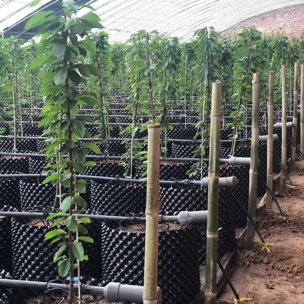 Контейнер с контролем корня растений