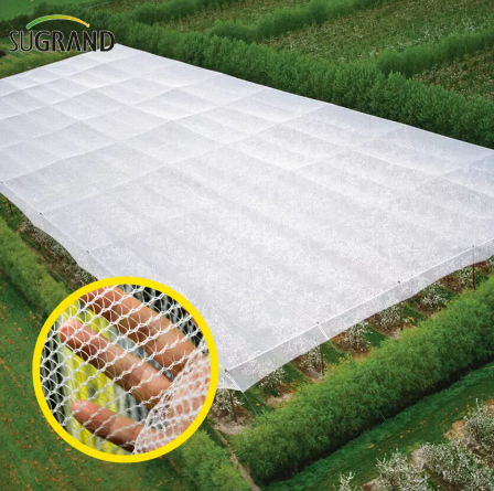 Антивеяная сеть