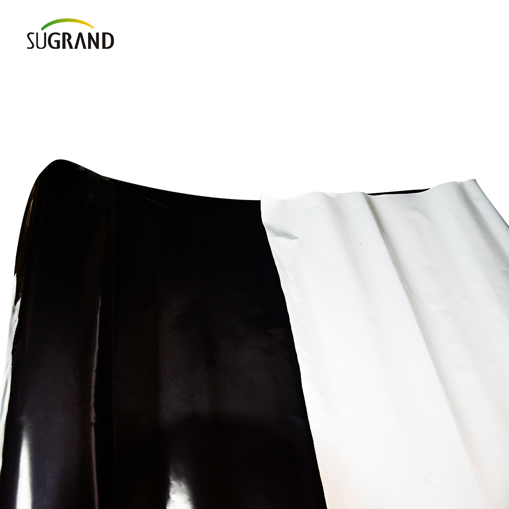 PE Garden Weed Mat Seriessure Пластическая мульча