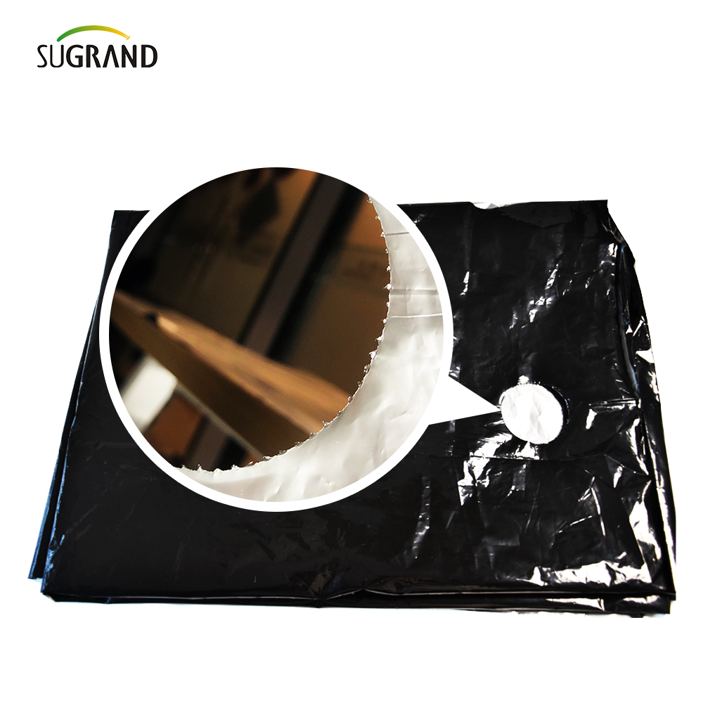 ПЛАСТИКАЯ ПЛАСТИКА ПРИВОДА МУЛЛА ИСПОЛЬЗОВАНИЕ Использование пленки мульча 