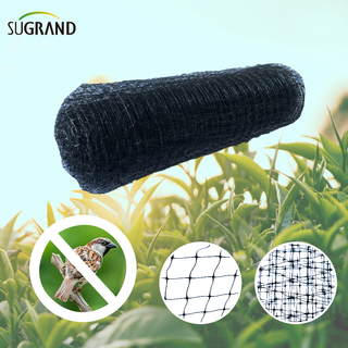 HDPE 200 м экструдированная анти -птичья сеть для защиты овощных фруктов