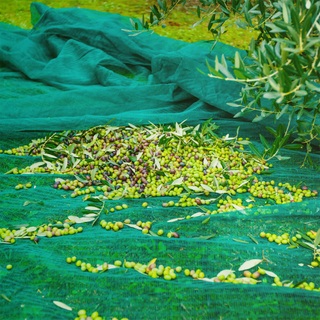 Сетка премиум-класса для сбора оливок