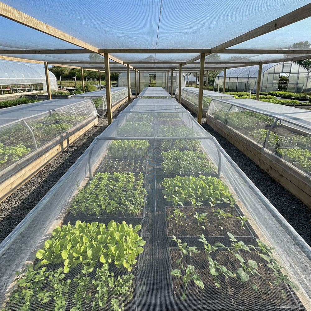 Как правильно выбрать сетку от насекомых для овощей?