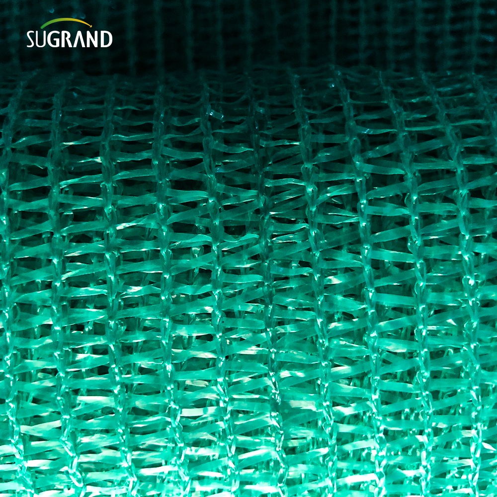 Зеленые/черные иглы из мат -ленточного оттенка сети