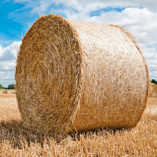 Сетка для поддонов, оптовая продажа, сетка для силоса