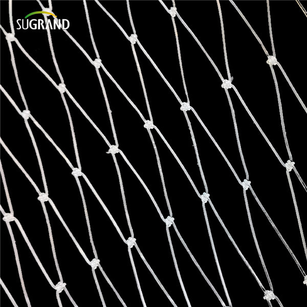 Нейлоновая рыба сетка (5) 