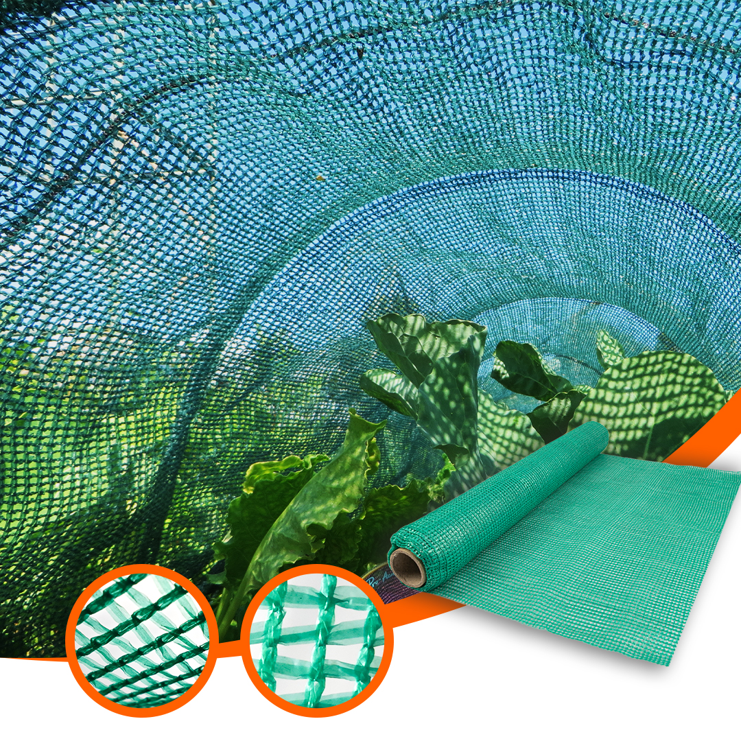 Shade net 70% сельскохозяйственного зеленого дома.