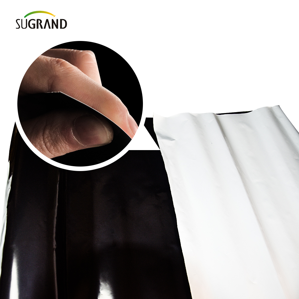 PE Garden Weed Mat Seriessure Пластическая мульча