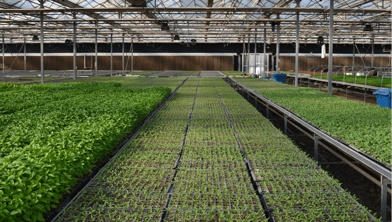 лотки для детских розеток