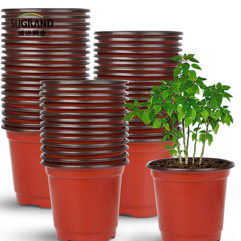 Стартовая стартера сада выращивать лотки растения детские саженцы горшки