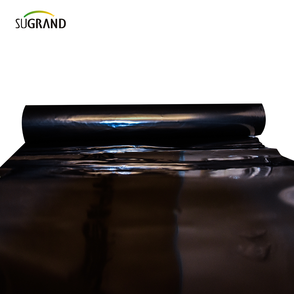 PE Garden Weed Mat Seriessure Пластическая мульча