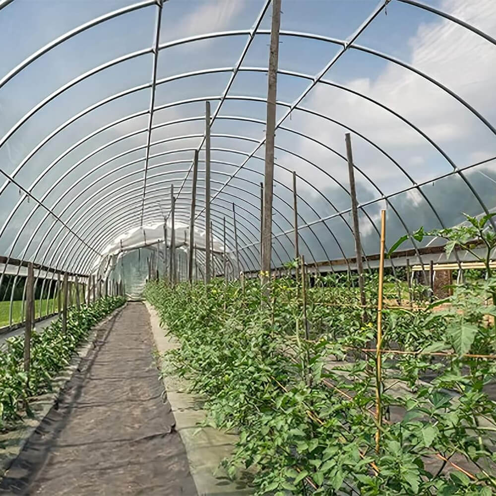 Полиэтиленовая пластиковая тепличная пленка